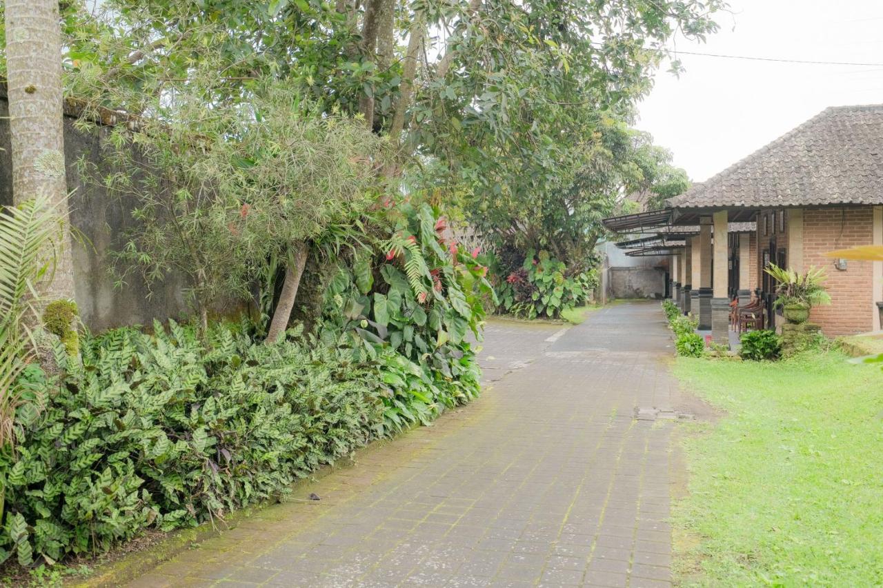 Pelangi Homestay Bedugul Redpartner Kültér fotó